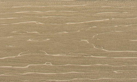 Moistureshield vision couleur mocaccino.