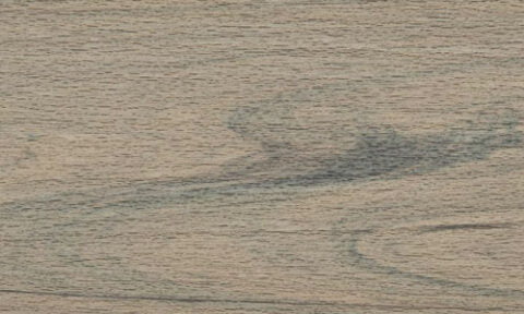 Trex lineage couleur biscayne.