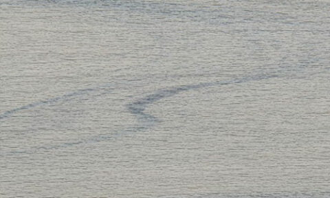 Trex lineage couleur rainier.