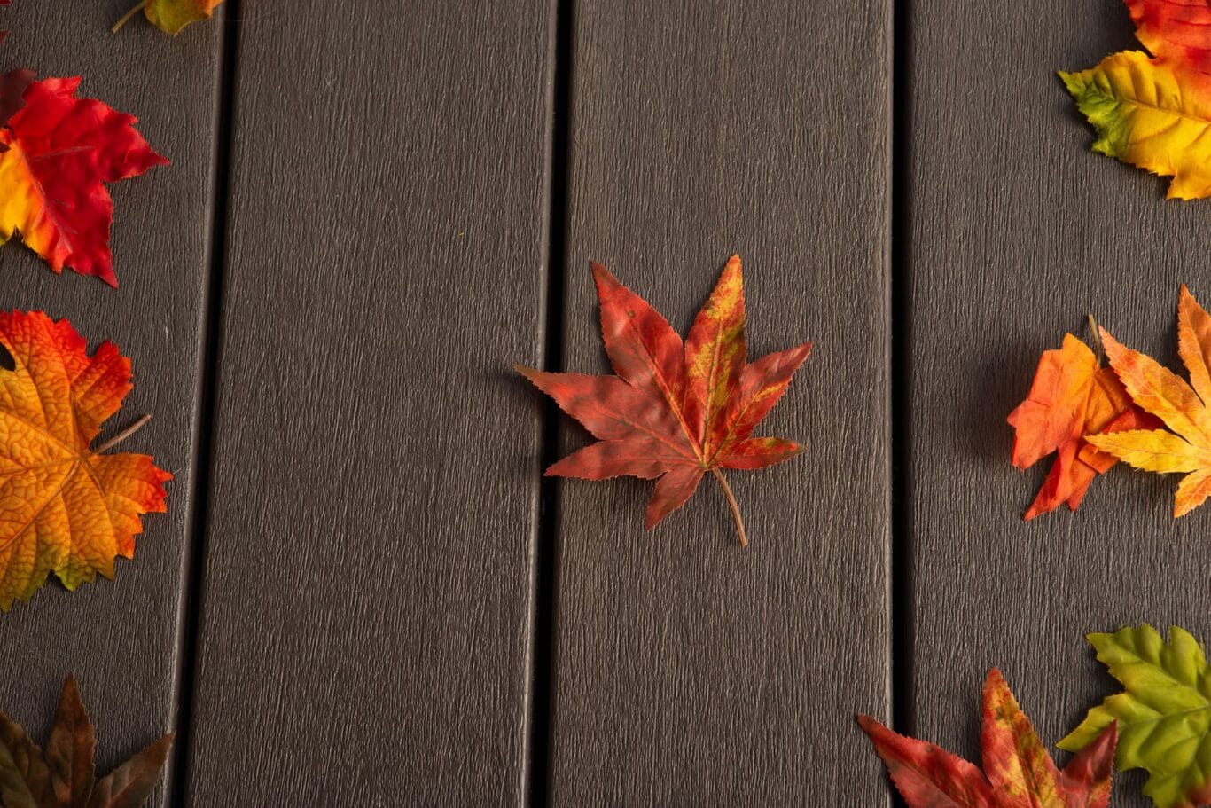 Feuilles d'automne sur une terrasse en bois composite