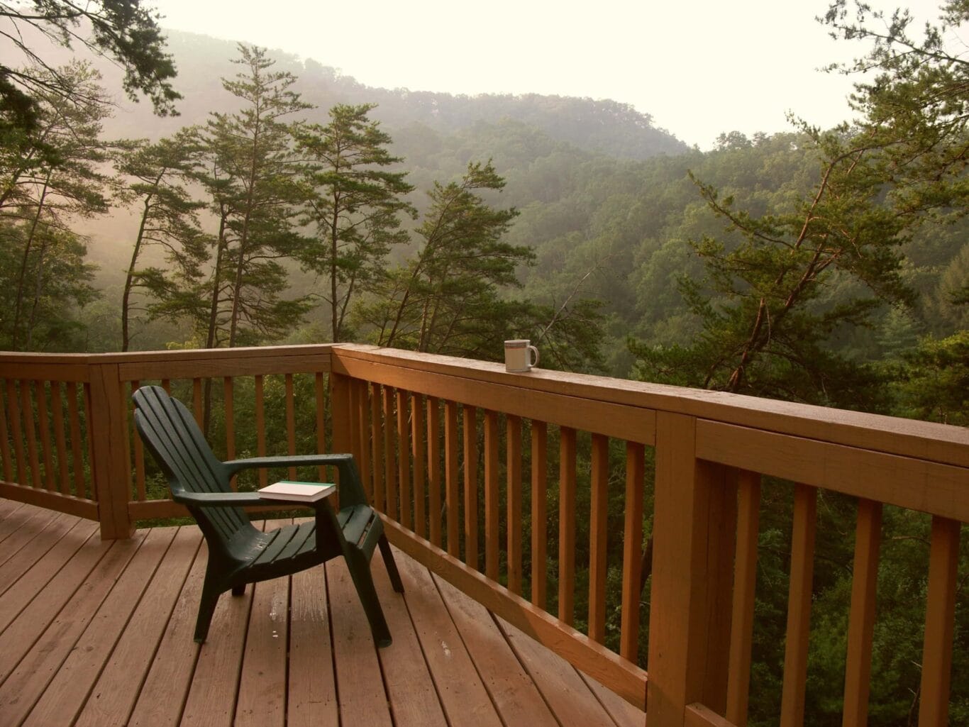 A wooden deck looking out on a quiet forest.